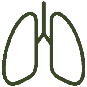 Respiratory